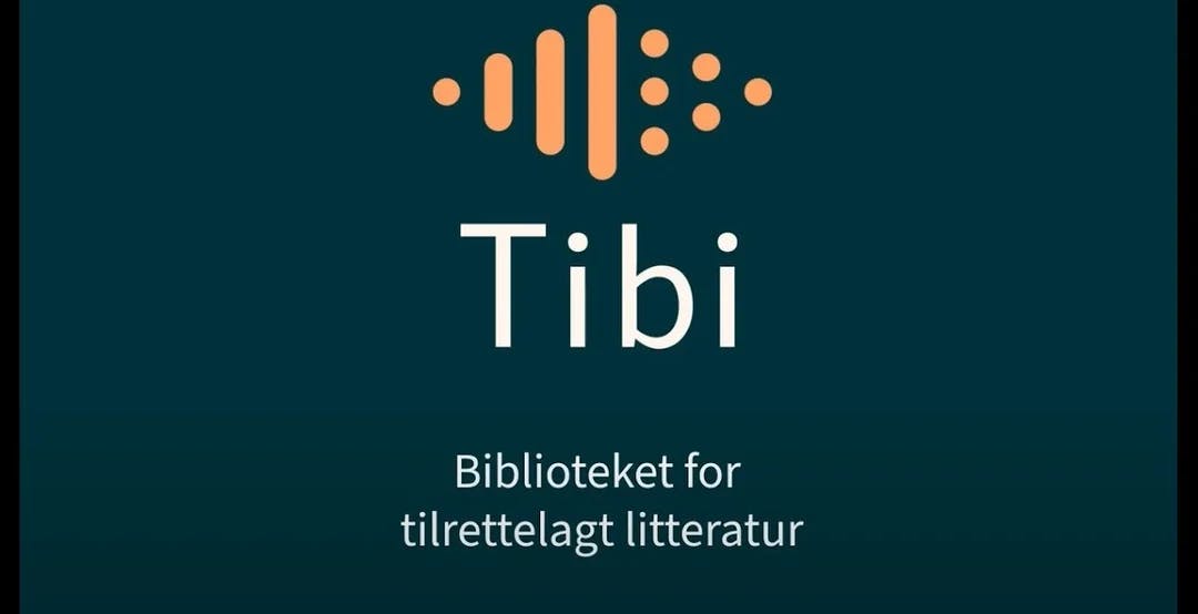 Logo for Tibi