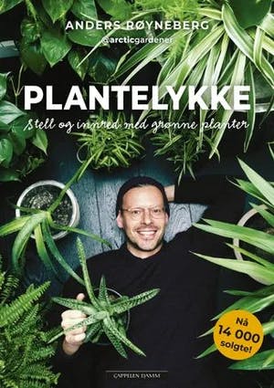 Omslag: "Plantelykke : stell og innred med grønne planter" av Anders Røyneberg